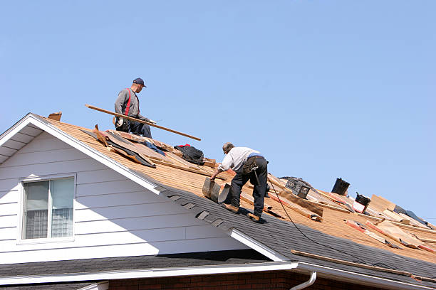 Best Metal Roofing Installation  in Hazel Green, AL